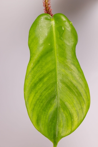 eksport-51.jpg