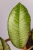 eksport-60.jpg