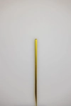 OhSzpila 20 cm, palik/ podpora do roślin doniczkowych, złota