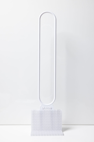 eksport-61.jpg