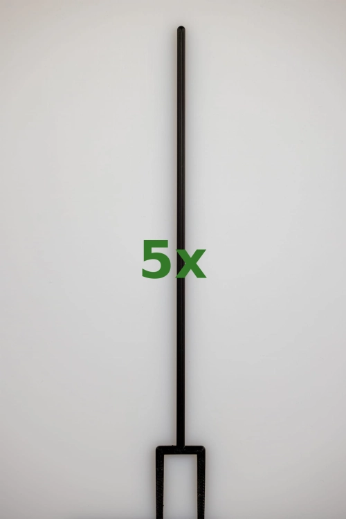 2389_5x.jpg