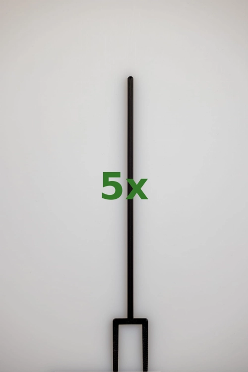 2412_5x.jpg