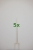 2418_5x.jpg
