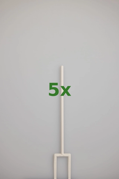 2423_5x.jpg