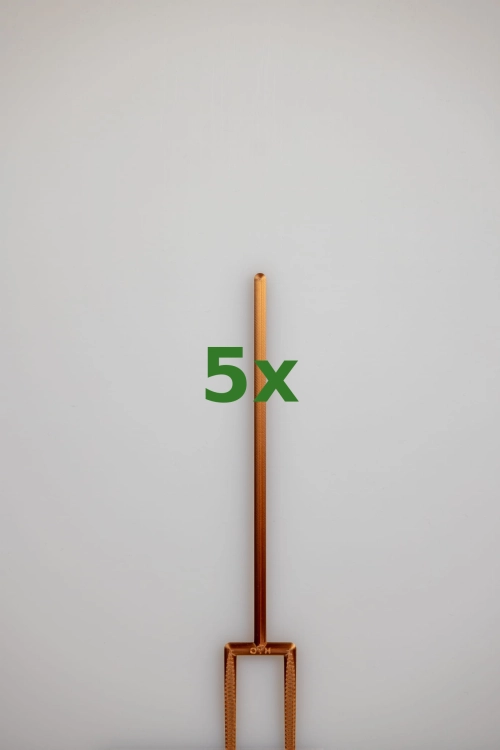 2429_5x.jpg