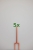 2435_5x.jpg