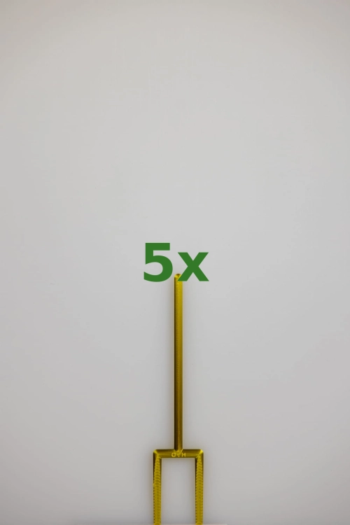 2441_5x.jpg