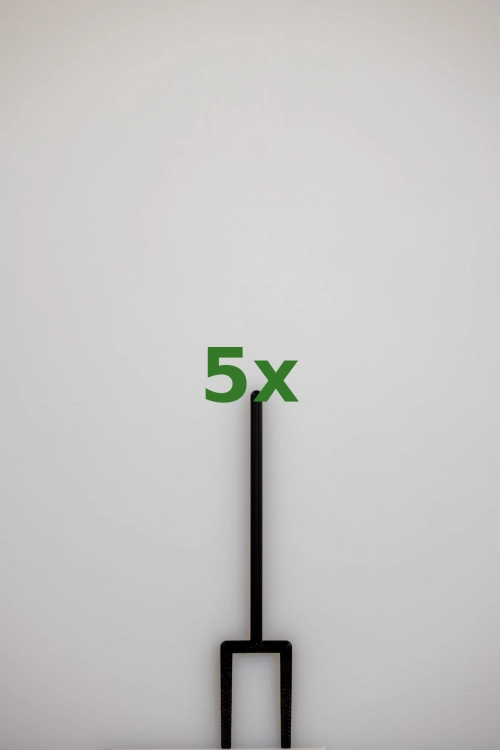2447_5x.jpg