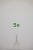 2453_5x.jpg