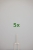 2459_5x.jpg