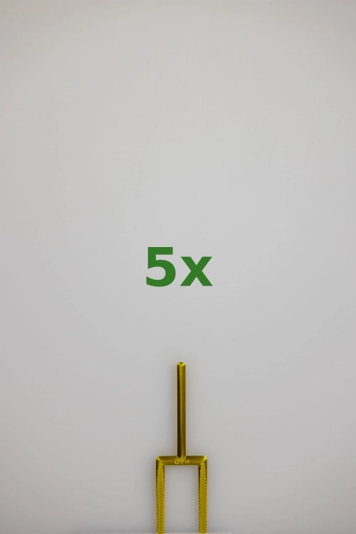 2462_5x.jpg