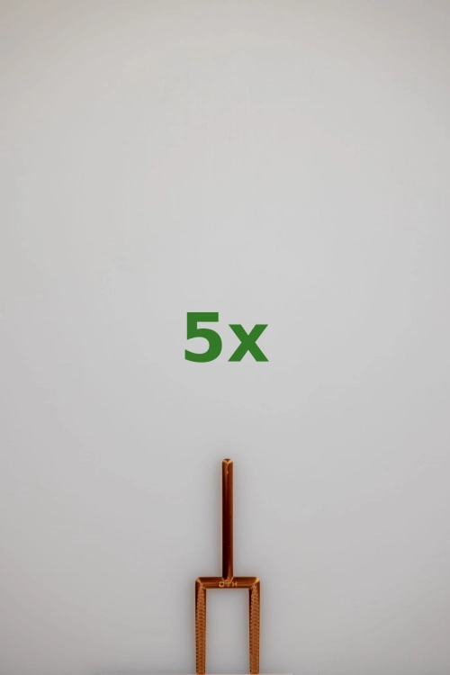 2465_5x.jpg