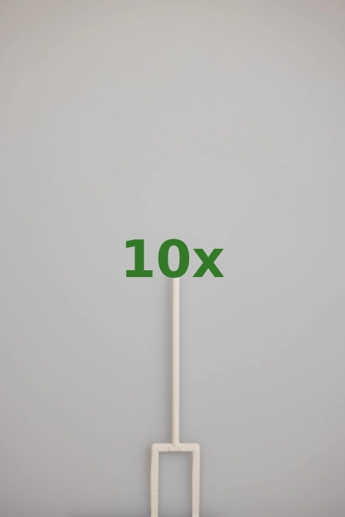 2444_10x.jpg