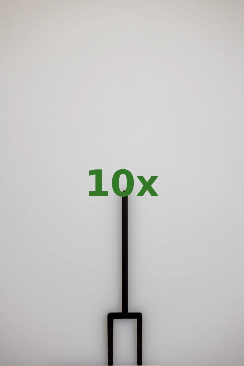 2447_10x.jpg