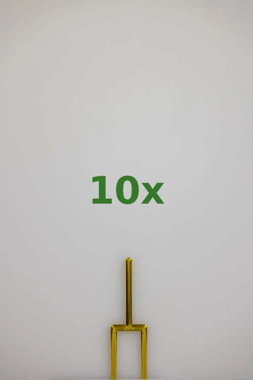 2462_10x.jpg