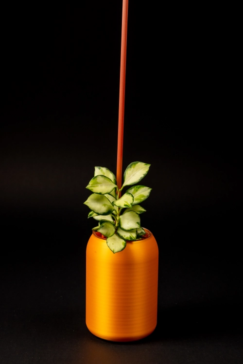eksport-29.jpg
