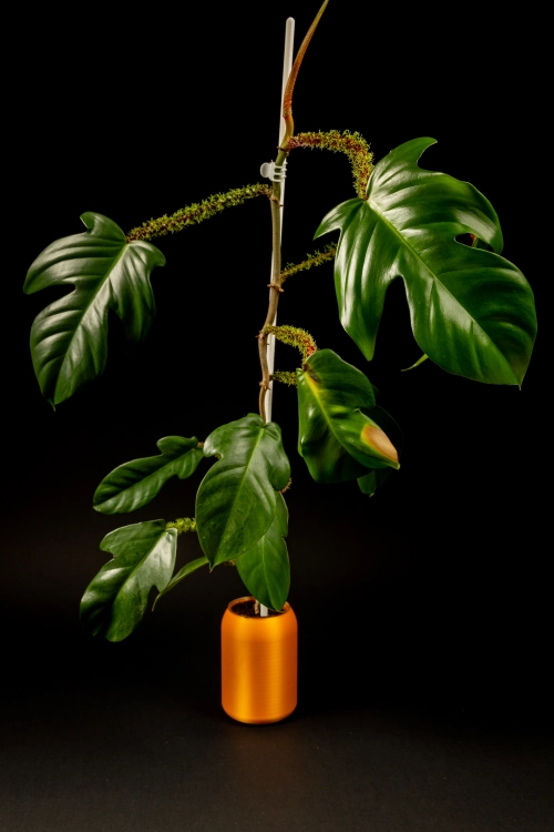 eksport-11.jpg