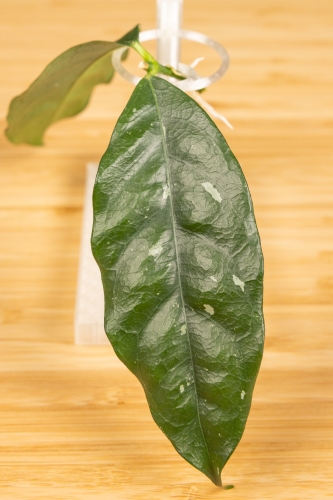 eksport-13.jpg