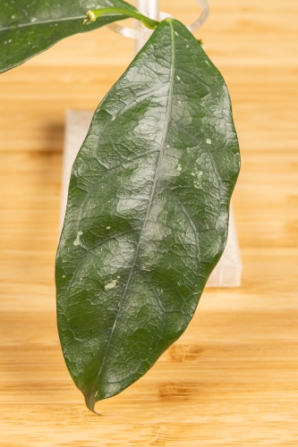 eksport-17.jpg